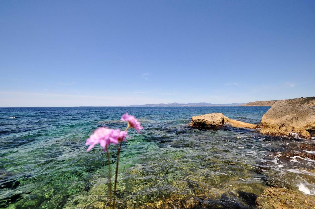 Villa Hugo- Badia Gran- Llucmajor- Mallorca Esterno foto